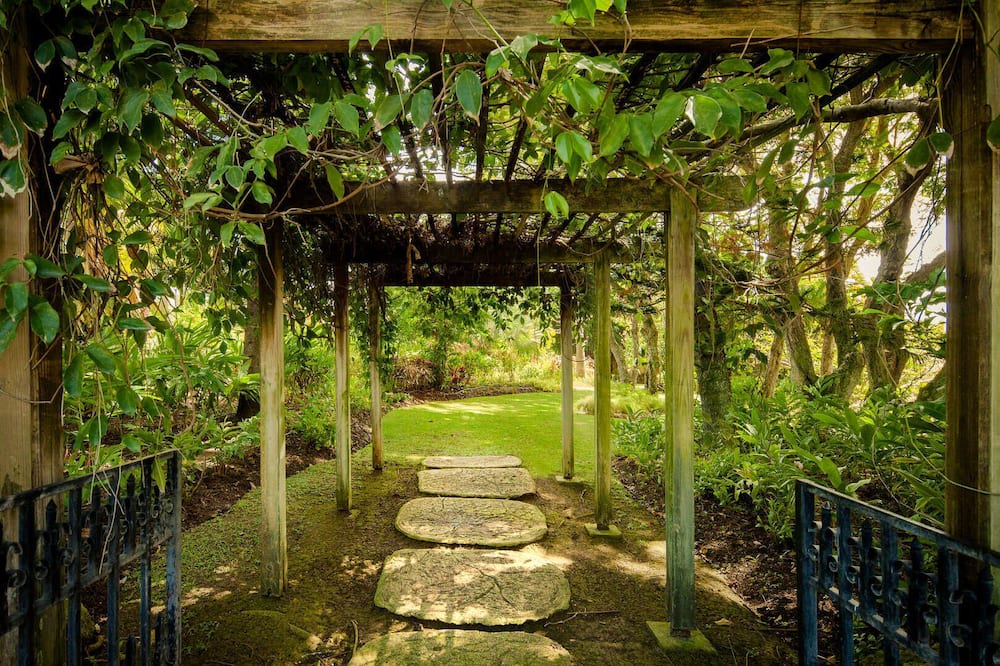 Photo of Outdoor in Mullins