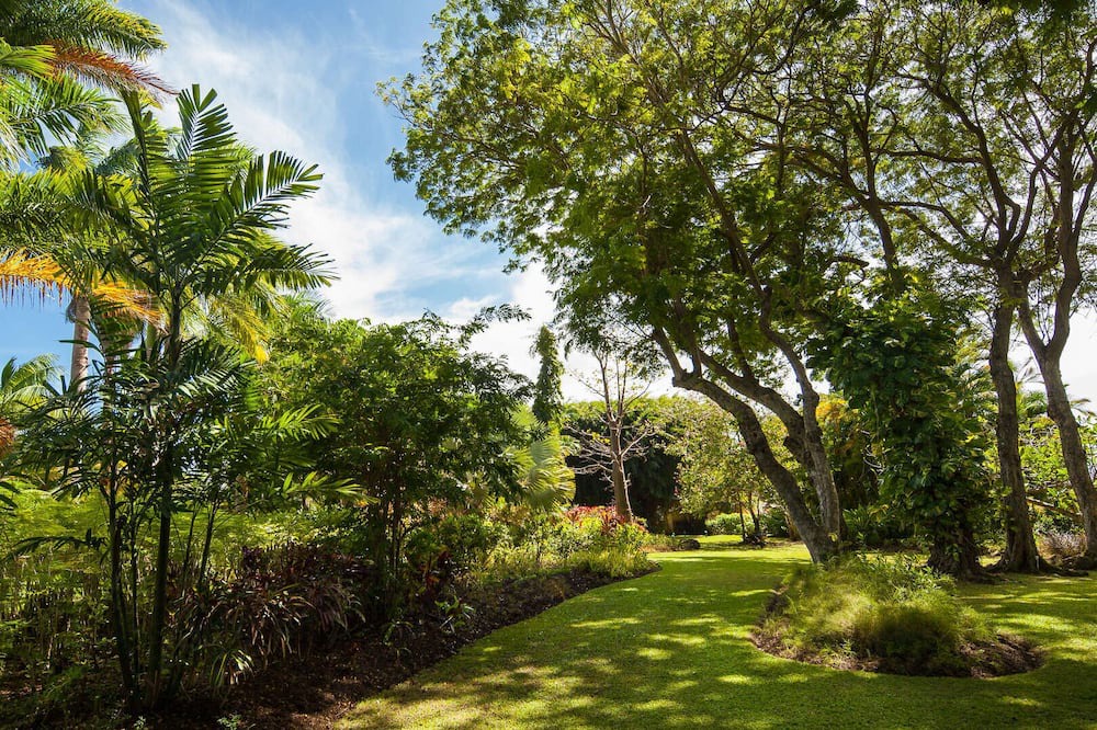 Photo of Outdoor in Mullins
