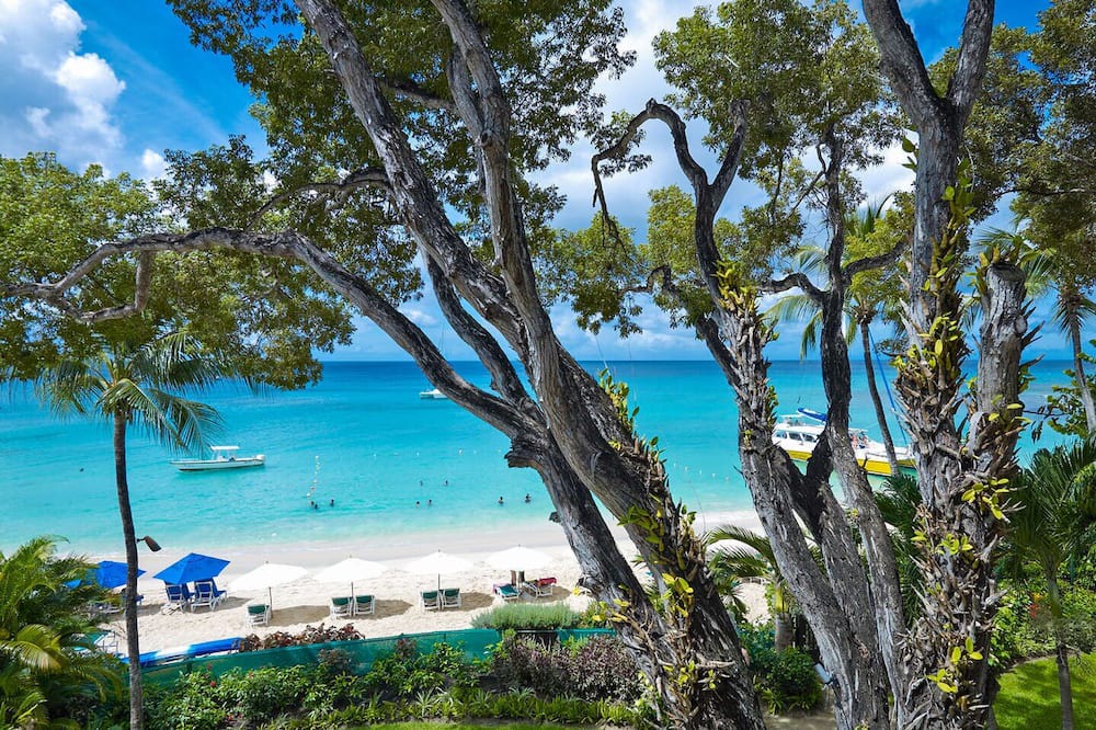 Photo of Others in Old Trees Bay