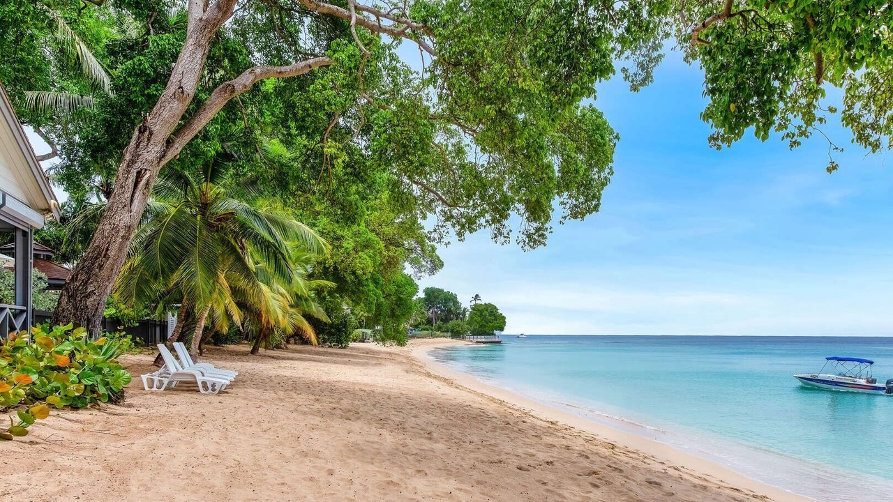 Photo of Others in Reeds Bay