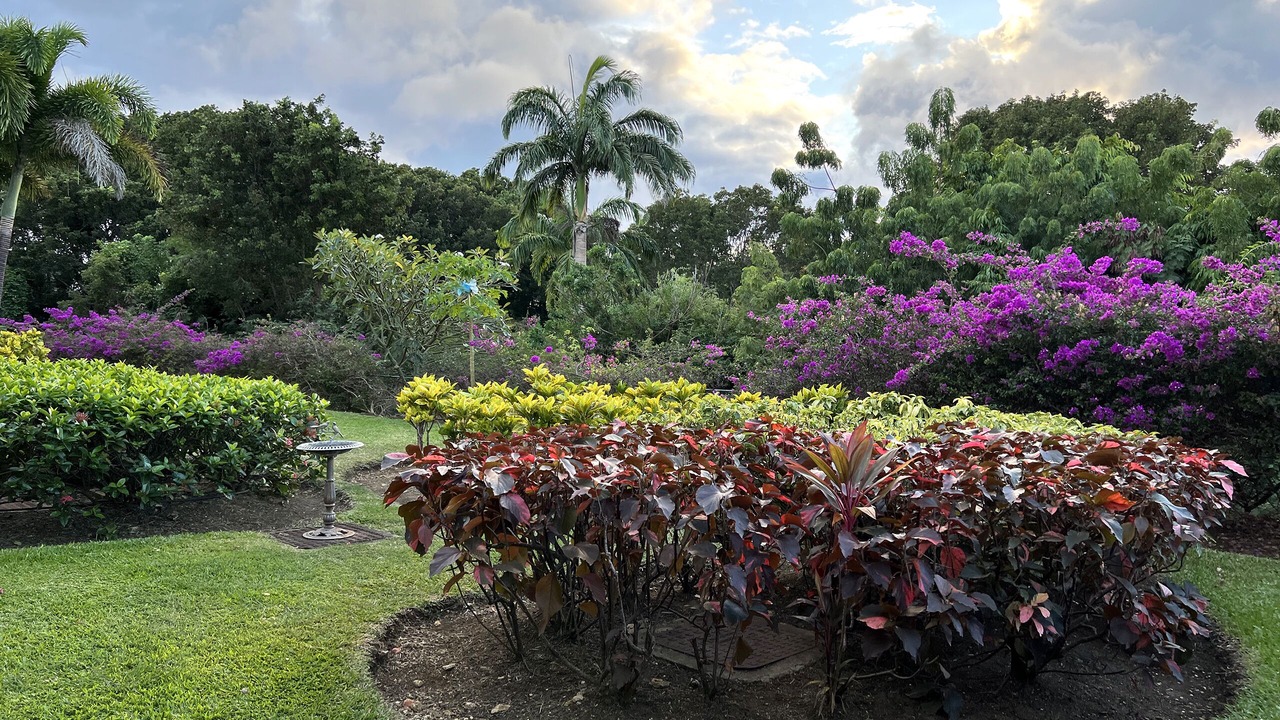 Photo of Outdoor in Merlin Bay