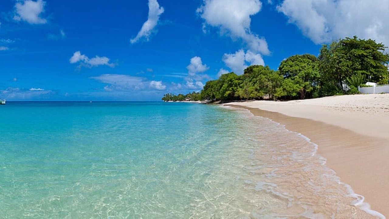 Photo of Others in Reeds Bay