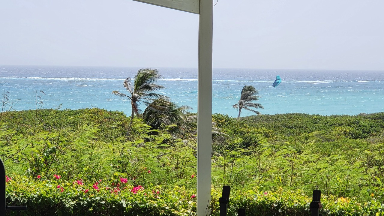 Photo of Others in Seaview