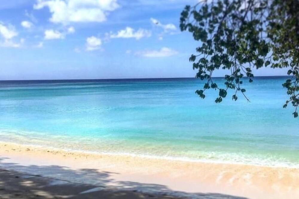Photo of Outdoor in Gibbs Bay