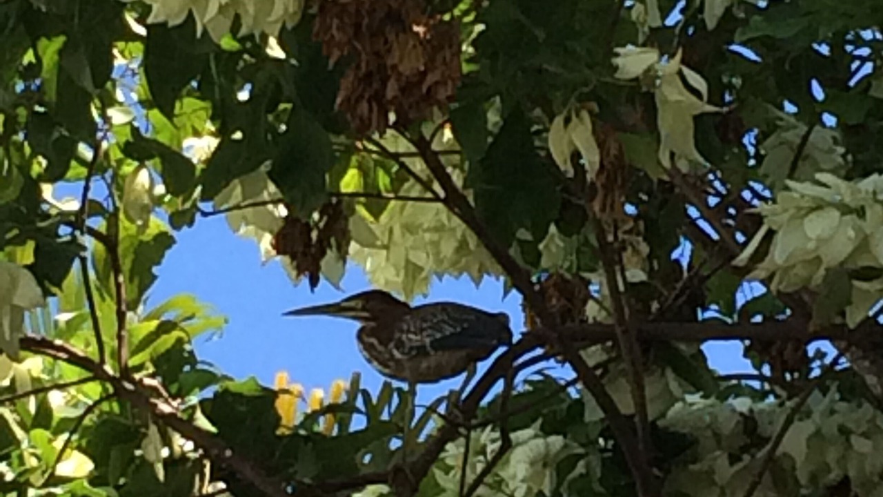 Photo of Outdoor in Douglas