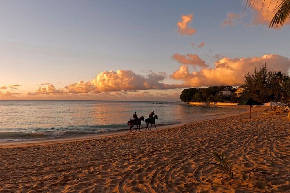 Photo of Outdoor in Old Trees Bay