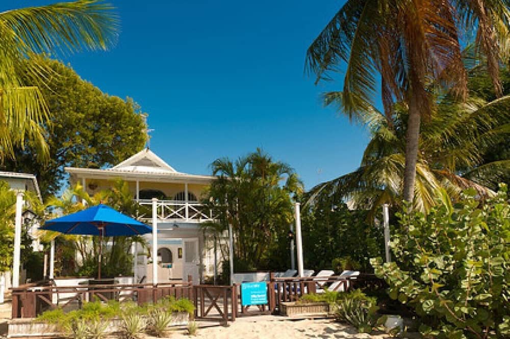 Photo of Others in Old Trees Bay