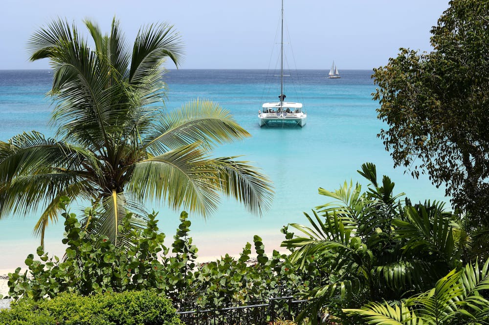 Photo of Others in Old Trees Bay
