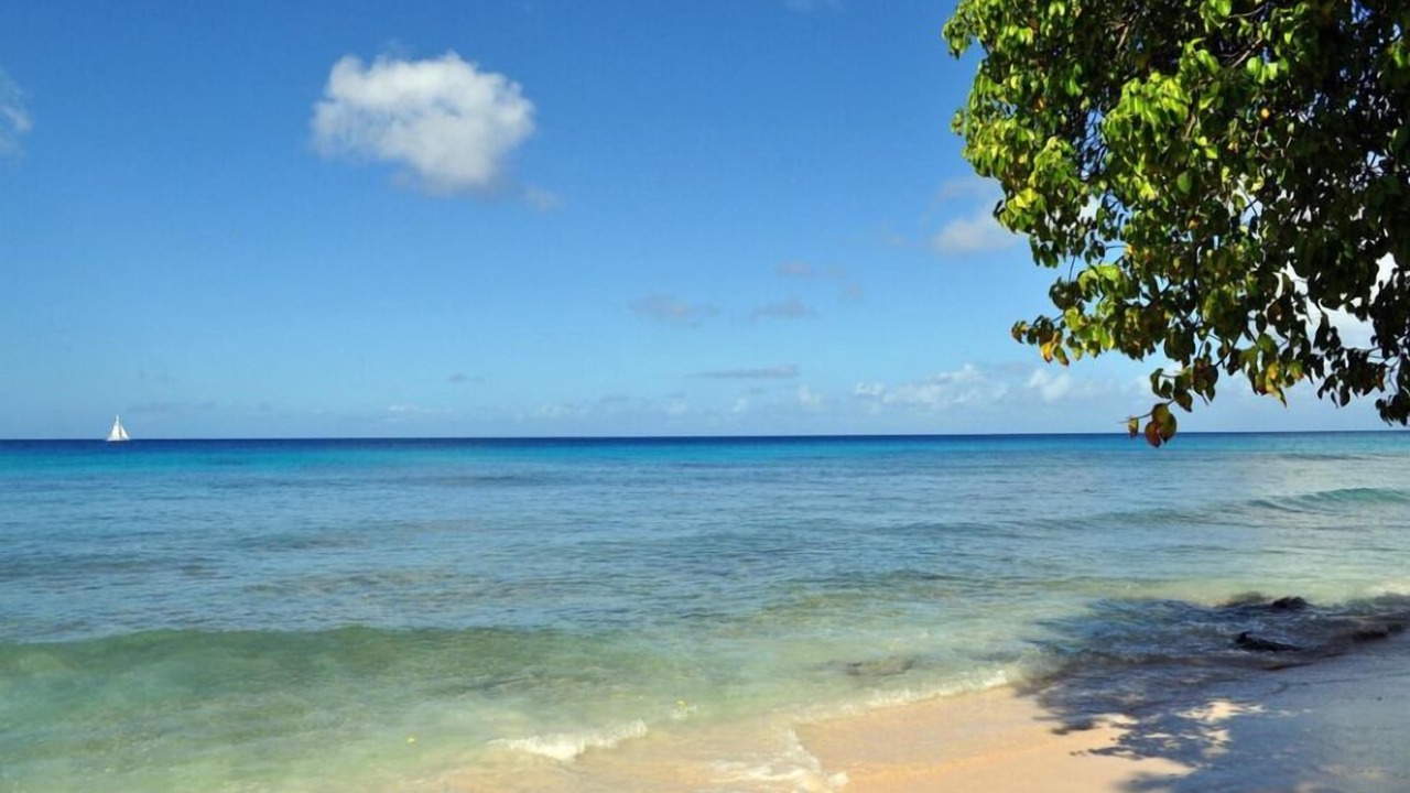 Photo of Others in Merlin Bay