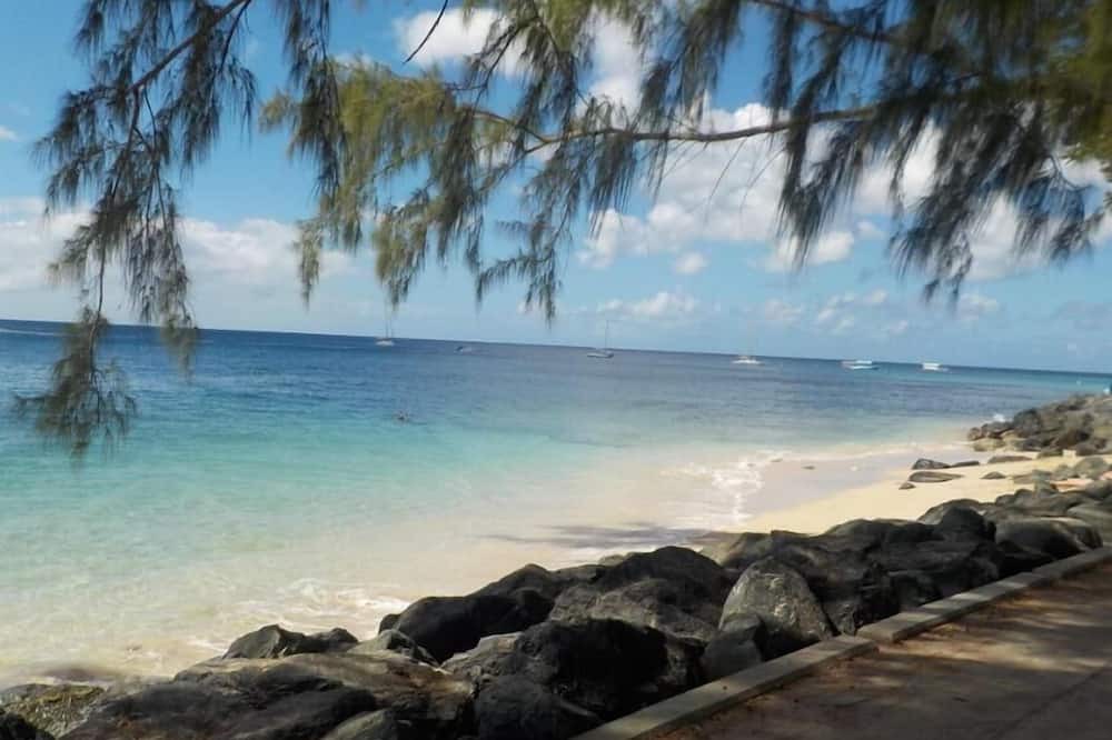 Photo of Outdoor in Weston