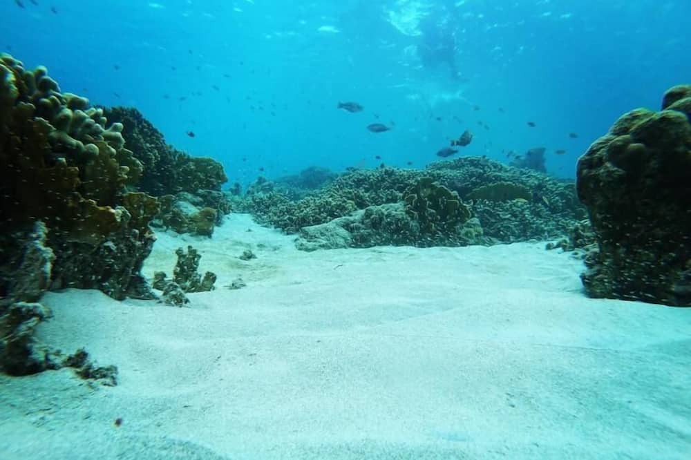 Photo of Outdoor in Weston