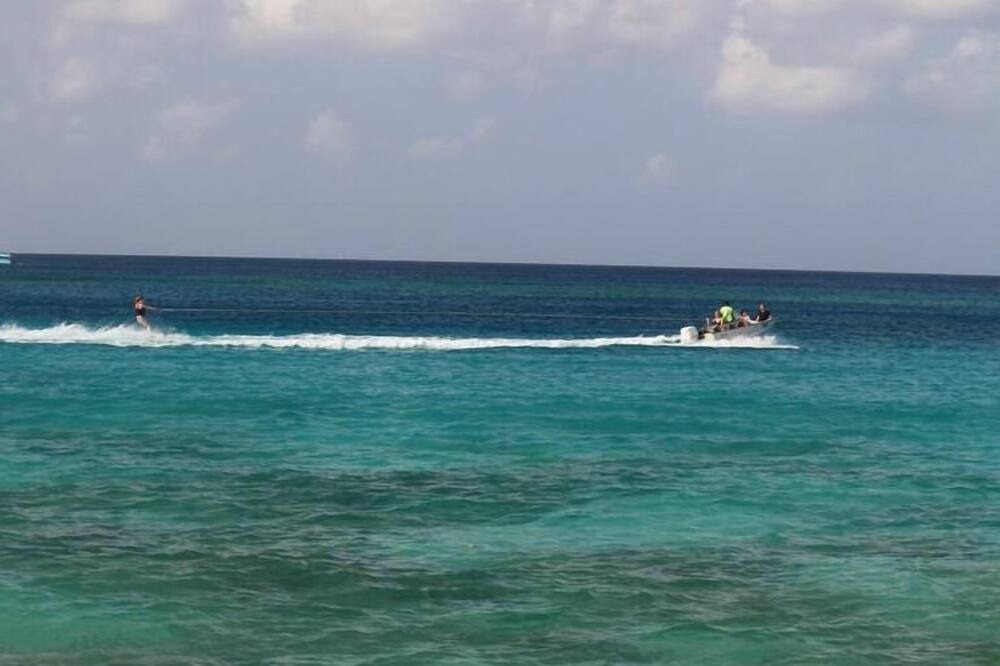 Photo of Others in Gibbs Bay