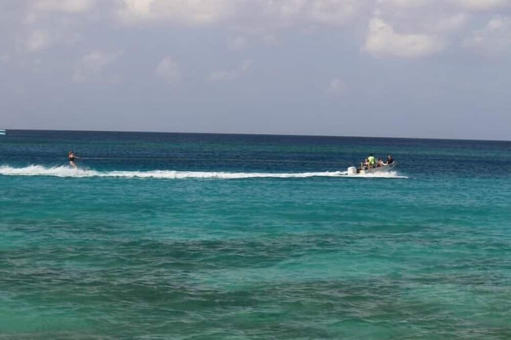 Photo of Others in Gibbs Bay