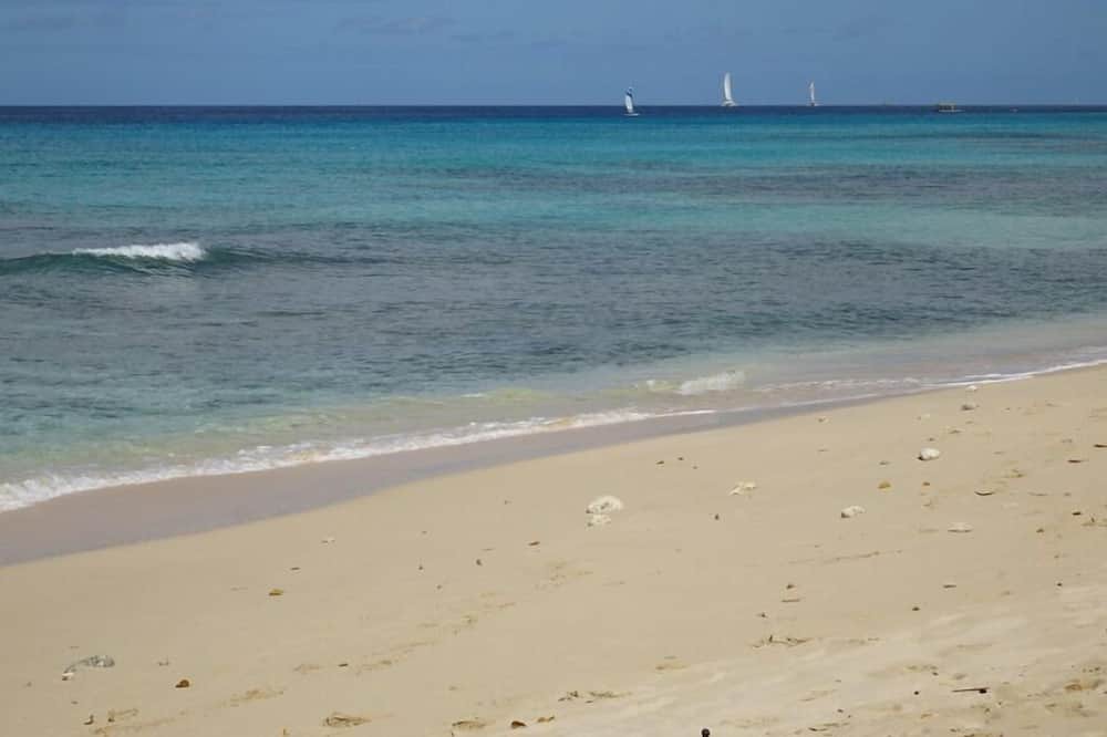 Photo of Others in Gibbs Bay