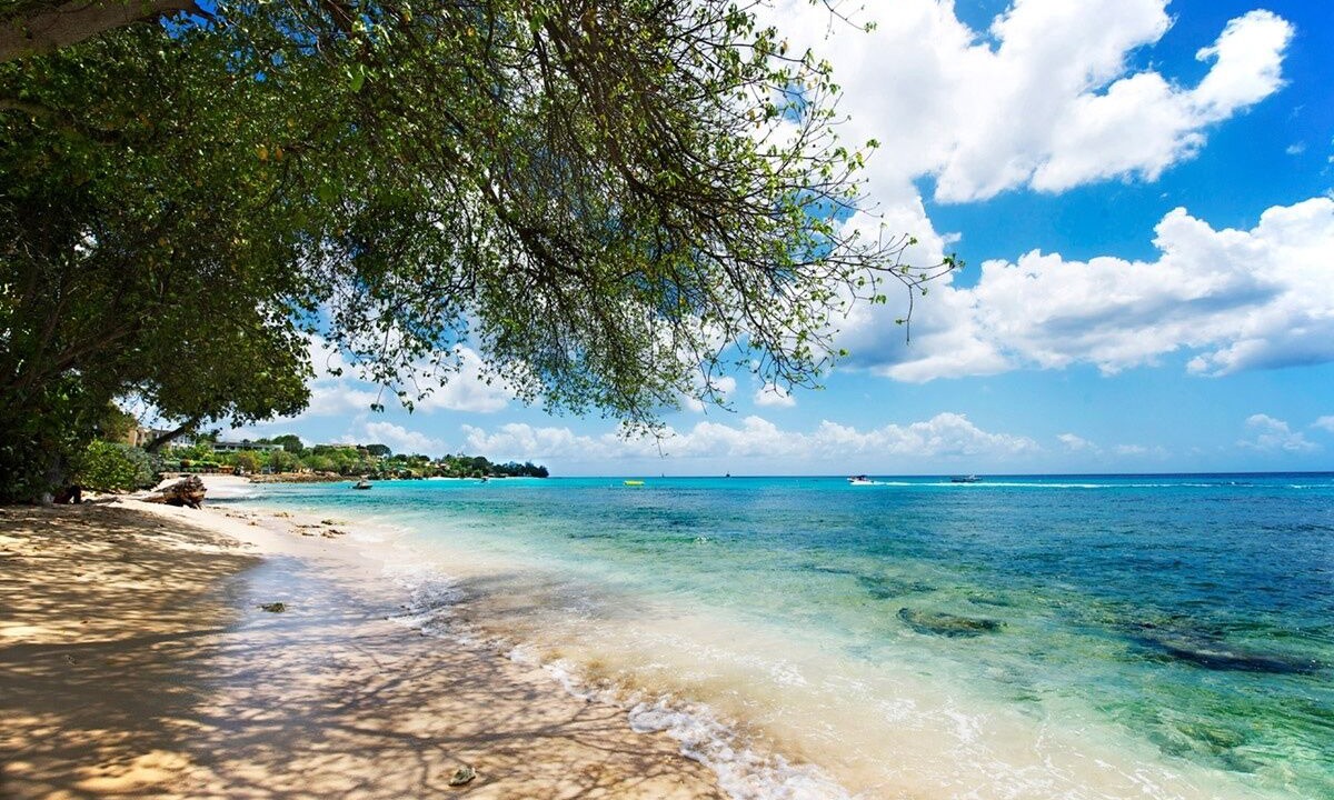 Photo of Others in Old Trees Bay