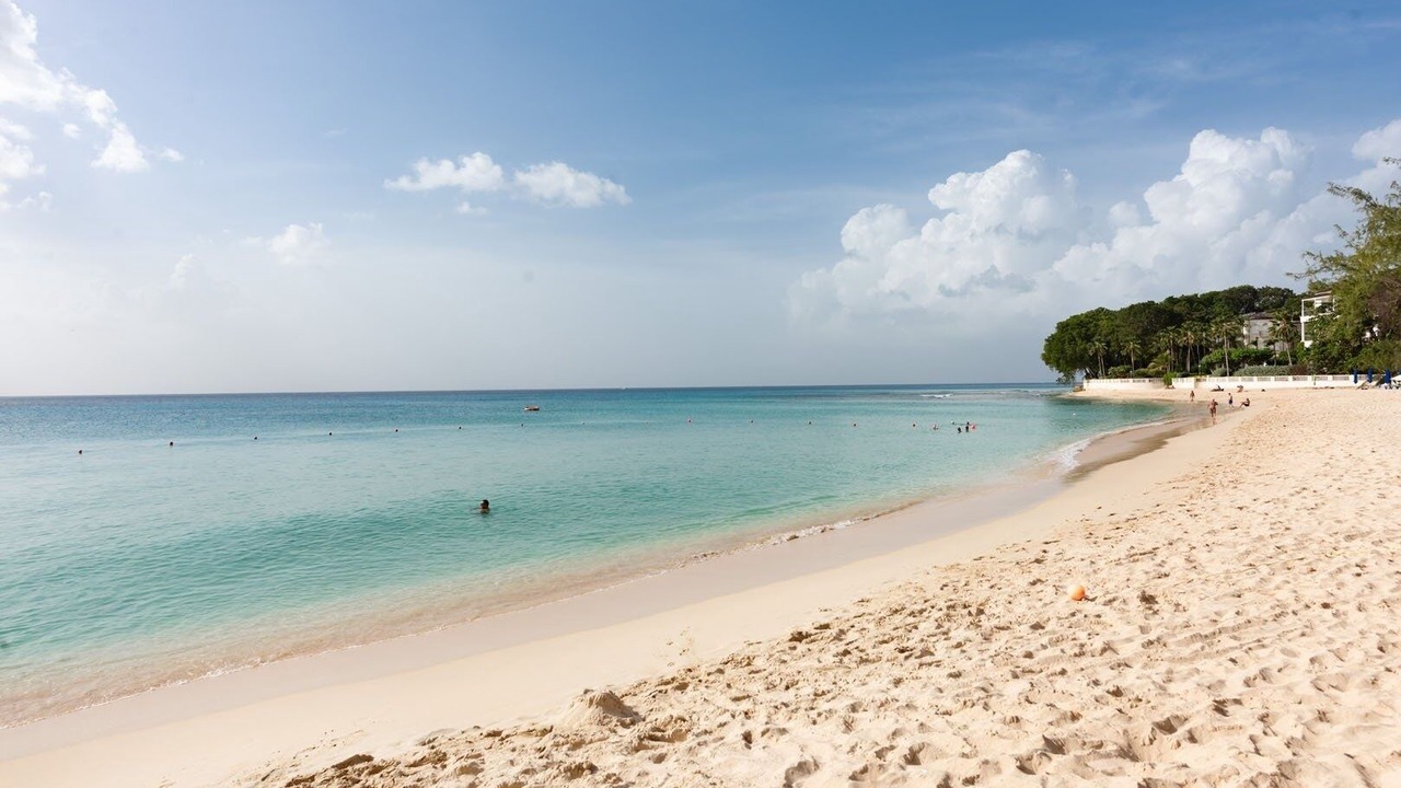 Photo of Others in Old Trees Bay