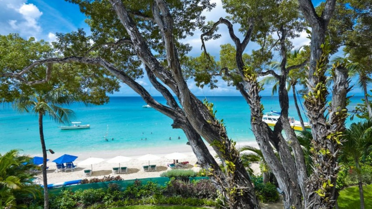 Photo of Others in Old Trees Bay