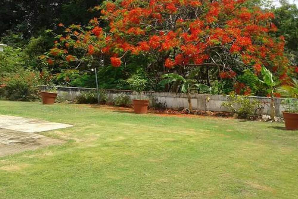 Photo of Outdoor in Sandy Lane