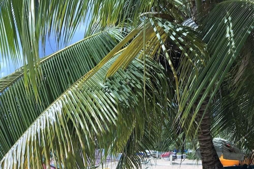 Photo of Others in Old Trees Bay