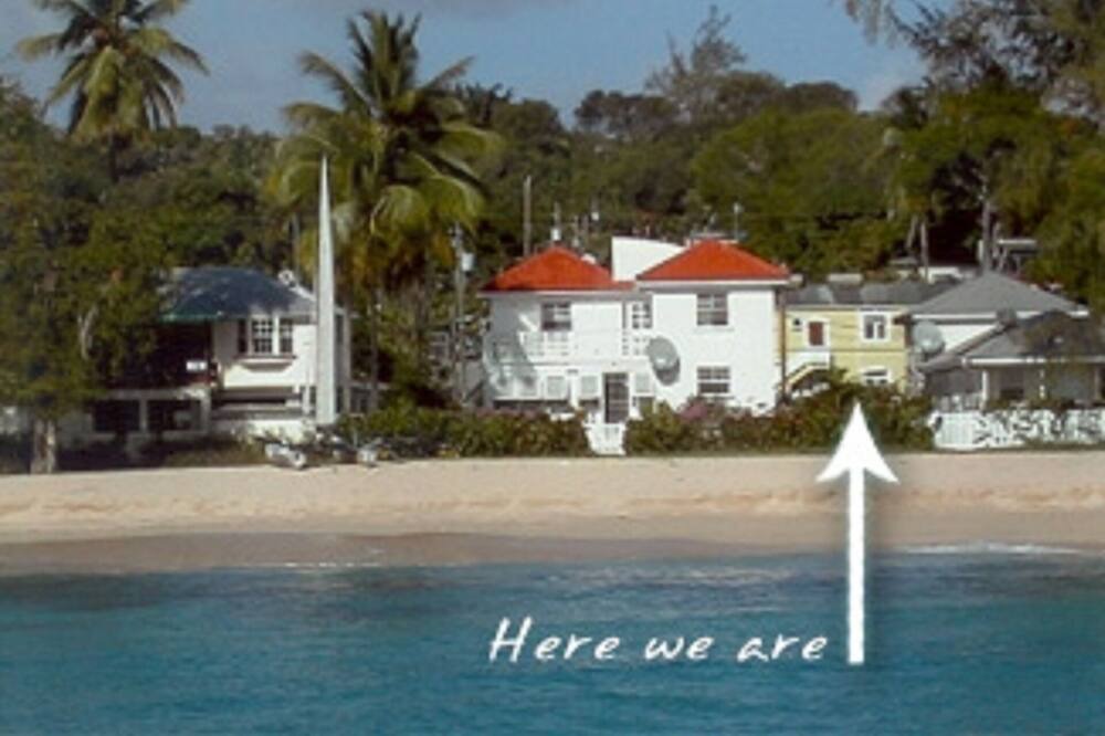Photo of Others in Old Trees Bay