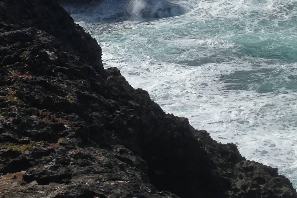 Photo of Others in Old Trees Bay