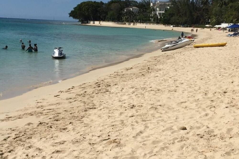 Photo of Others in Old Trees Bay
