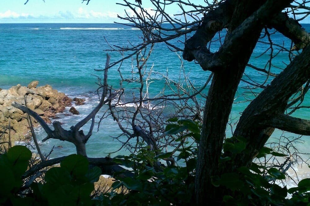 Photo of Others in Old Trees Bay