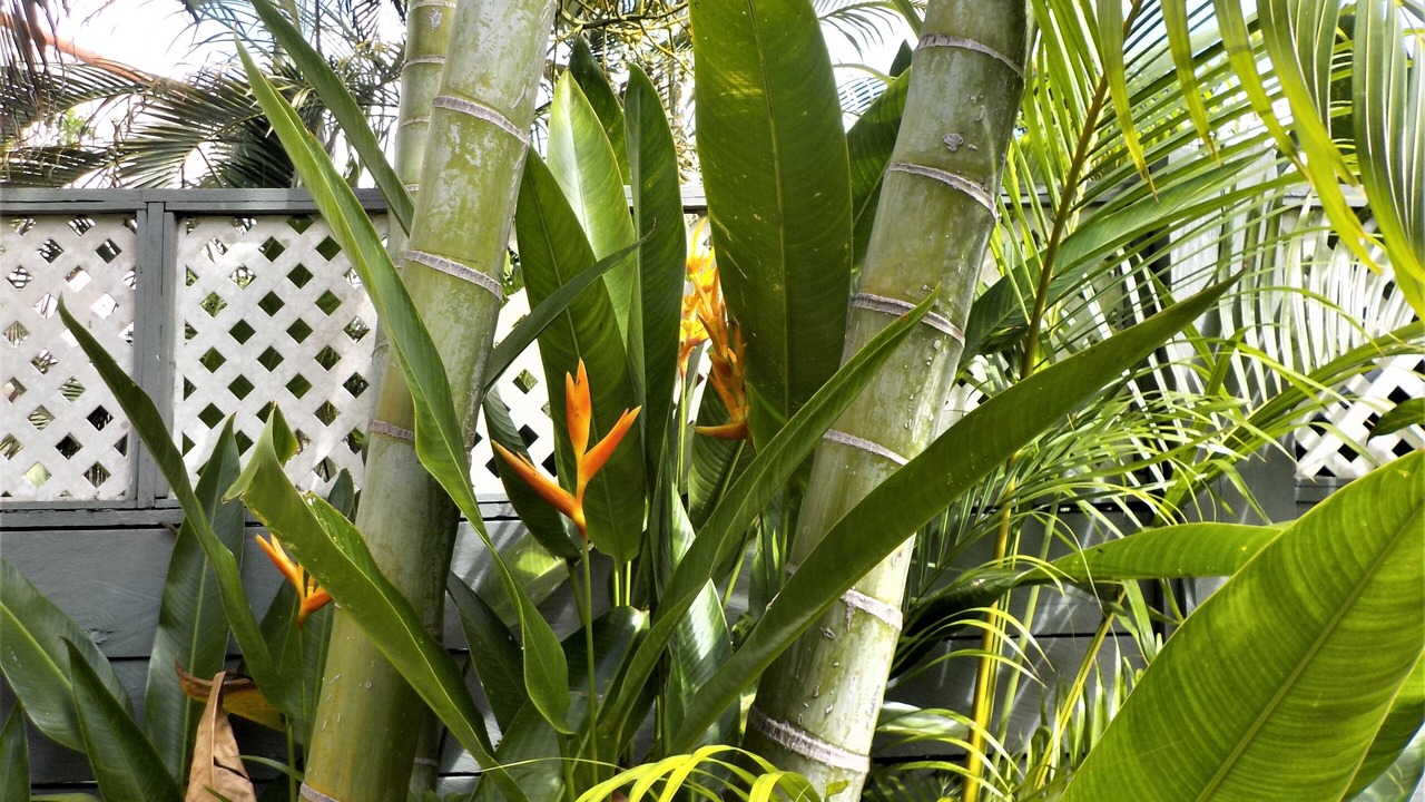 Photo of Outdoor in Porters