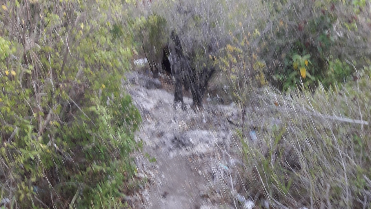 Photo of Others in Silver Hill