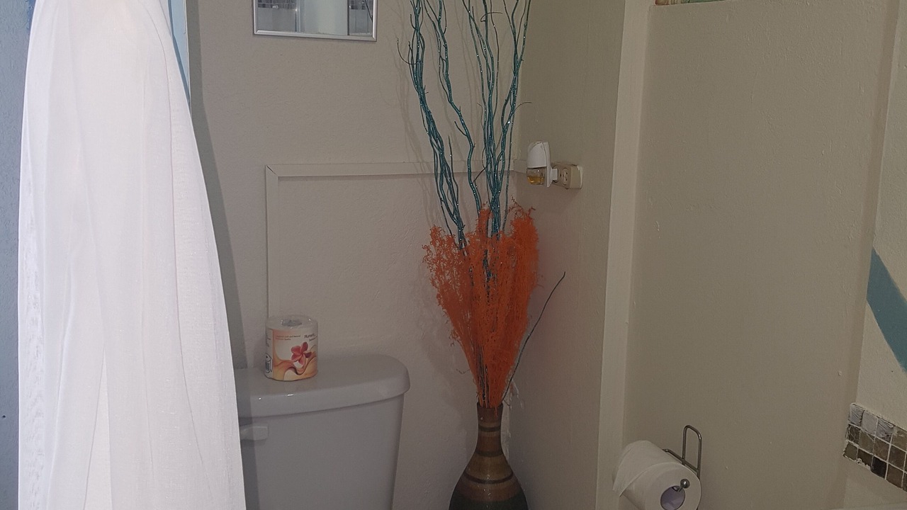 Photo of Bathroom in Harrismith