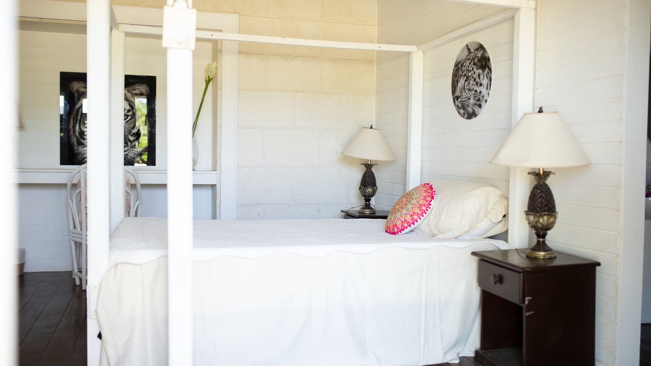 Photo of Bedroom in Ivy