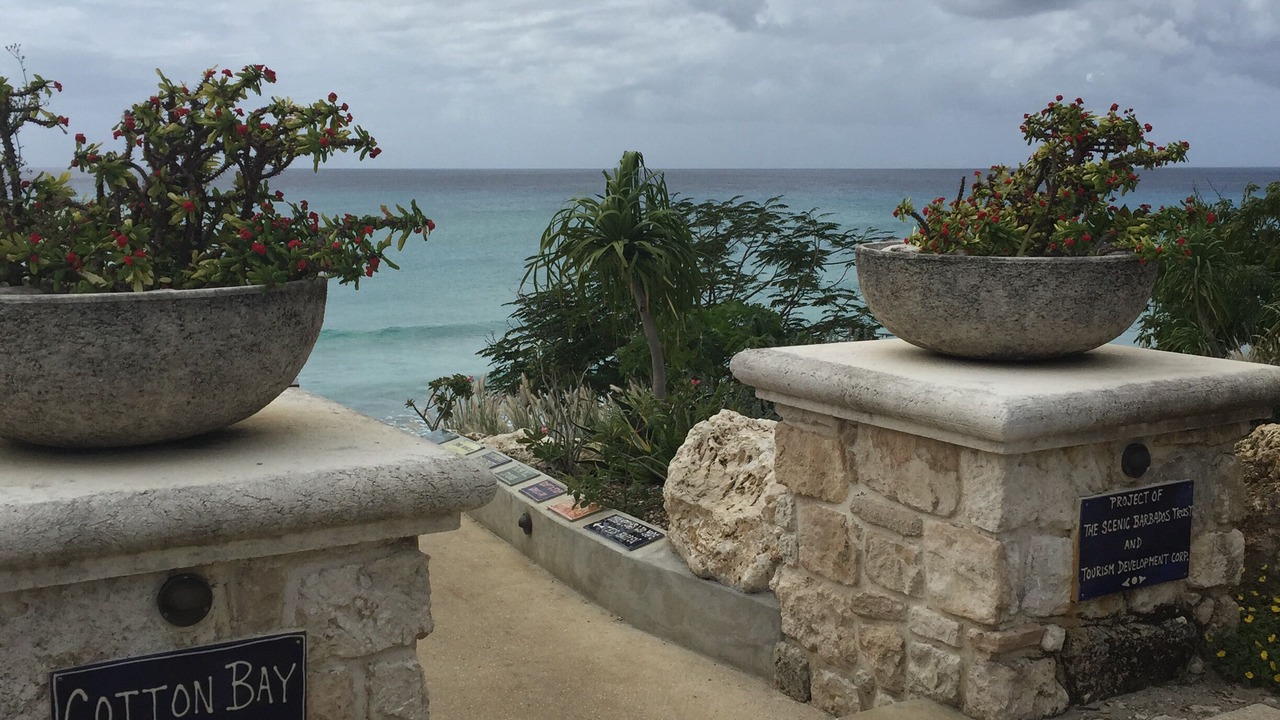 Photo of Outdoor in Atlantic Shores