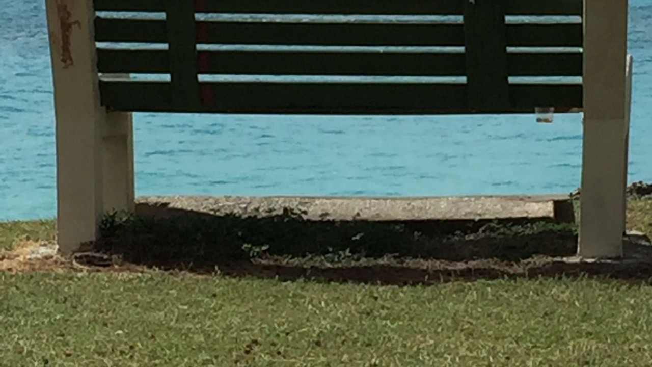 Photo of Outdoor in Atlantic Shores