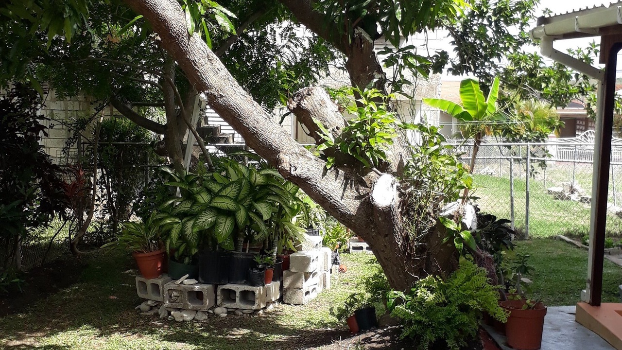 Photo of Outdoor in Warrens
