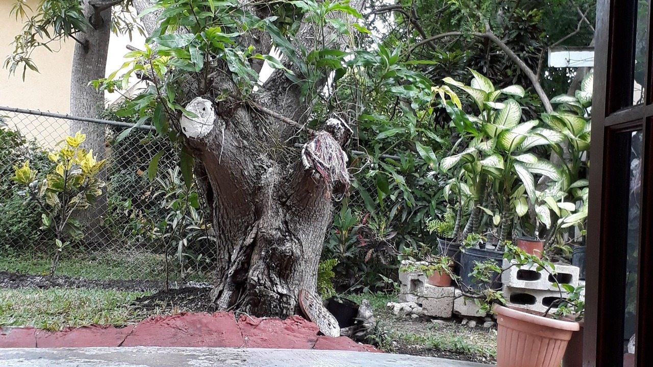 Photo of Outdoor in Warrens