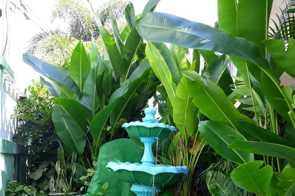 Photo of Outdoor in Maynards