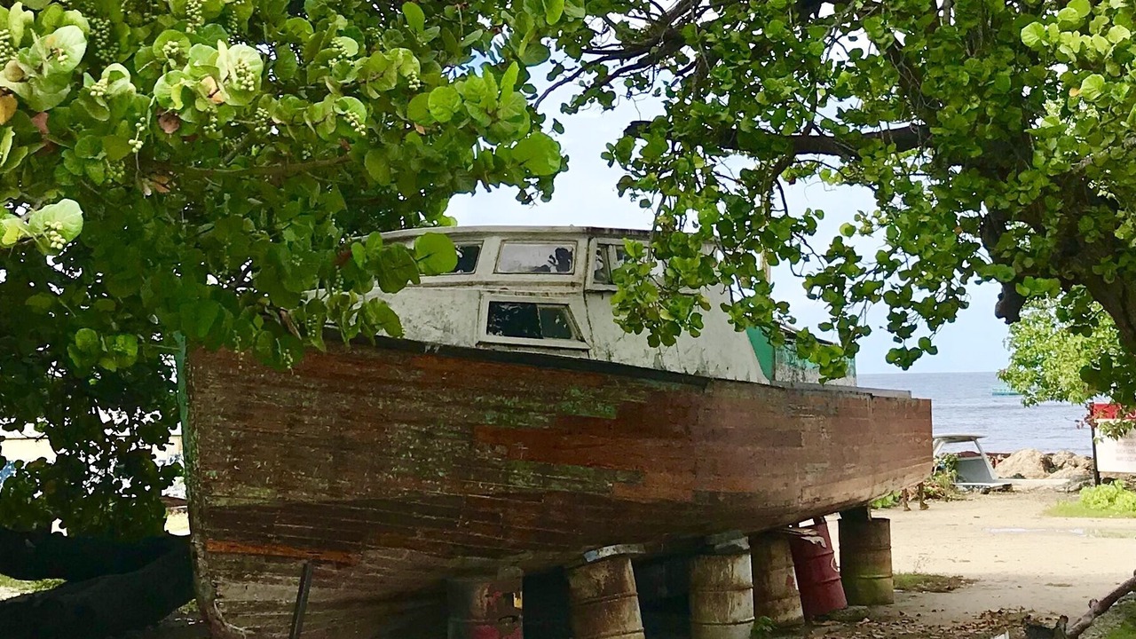 Photo of Outdoor in Scarborough
