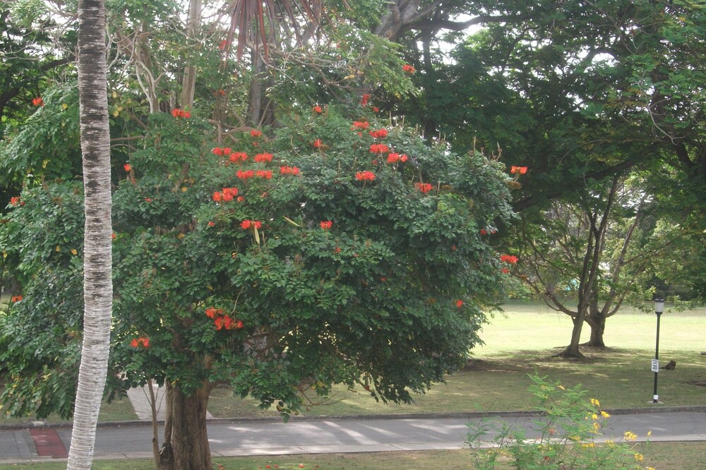 Photo of Others in Rockley