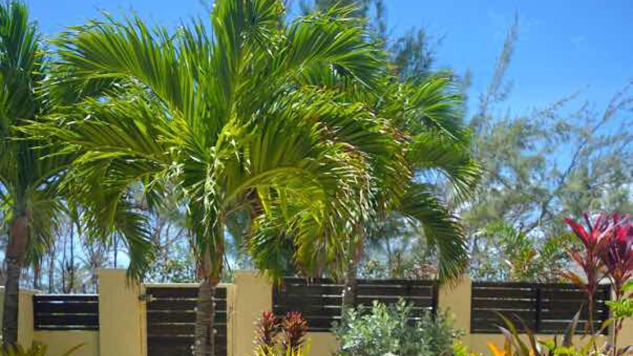 Photo of Outdoor in Inch Marlowe