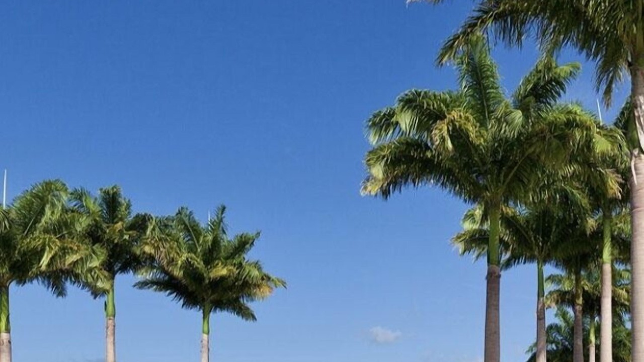 Photo of Outdoor in Merlin Bay