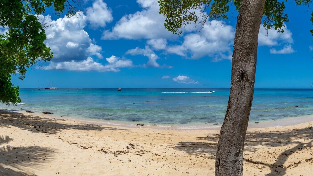 Photo of Others in Old Trees Bay