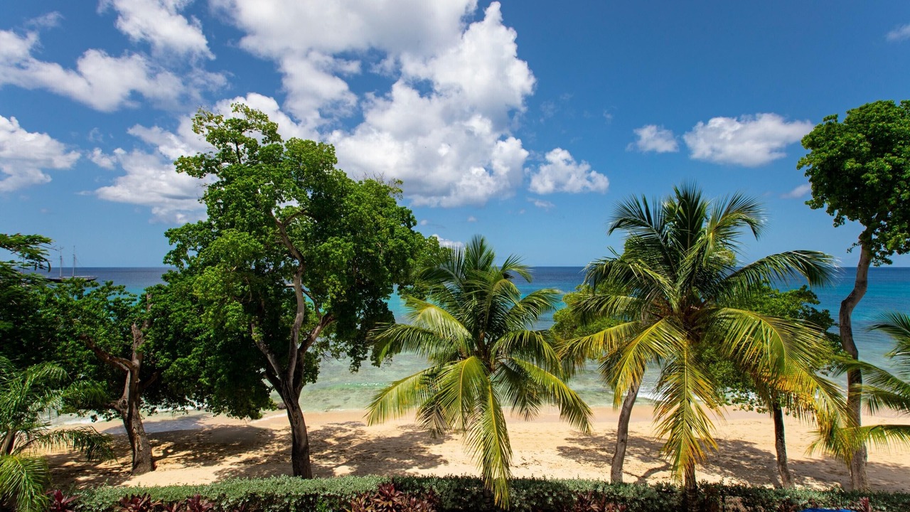 Photo of Outdoor in Old Trees Bay