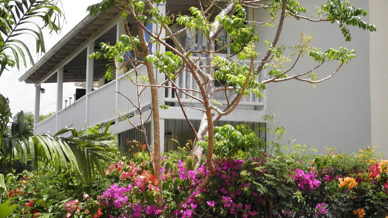 Photo of Outdoor in Porters