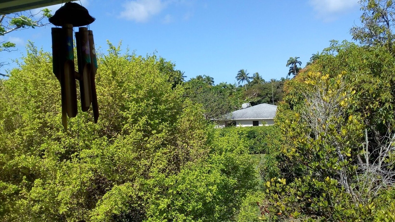 Photo of Outdoor in Porters