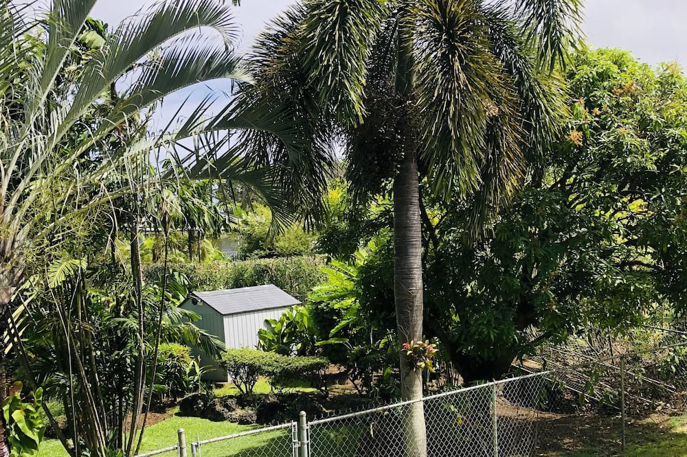 Photo of Outdoor in Gibbes