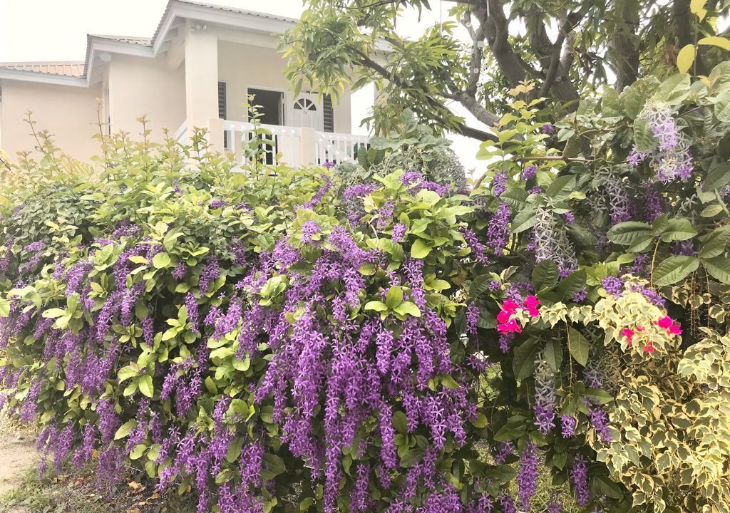 Photo of Outdoor in Scarborough