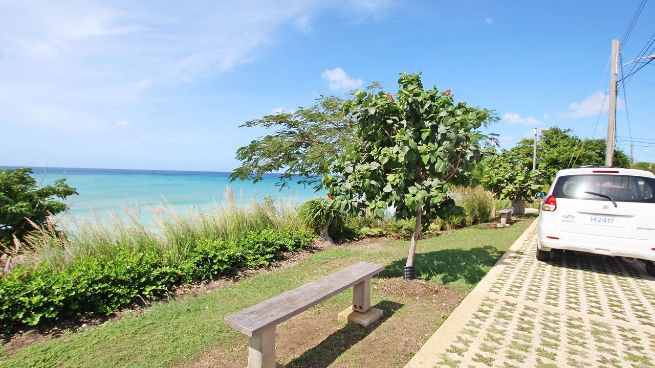 Photo of Outdoor in Green Garden