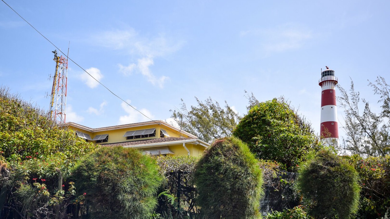 Photo of Outdoor in Green Garden
