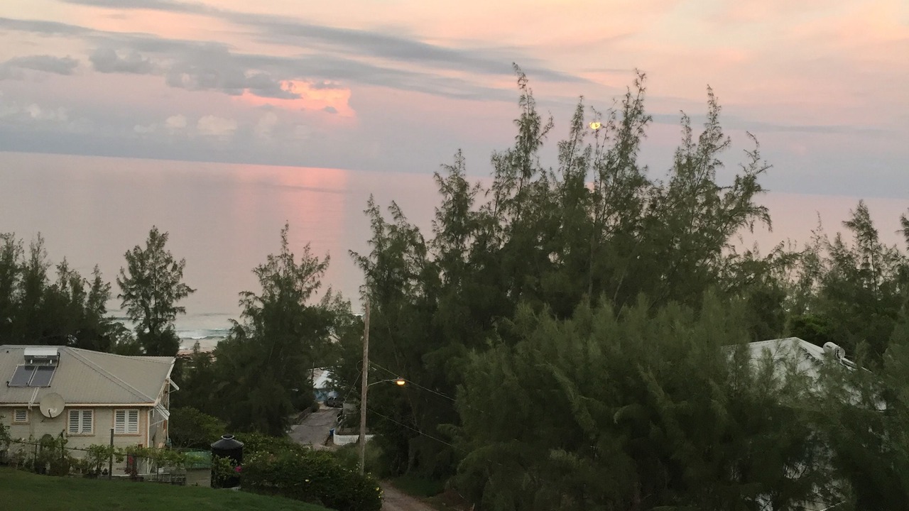 Photo of Outdoor in Atlantic Park