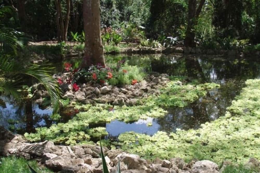 Photo of Outdoor in Bridgetown